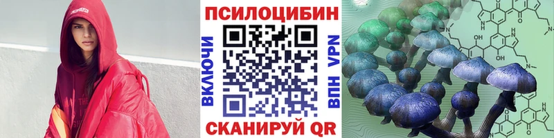 Купить  Неман  Галлюциногенные грибы Psilocybine cubensis 